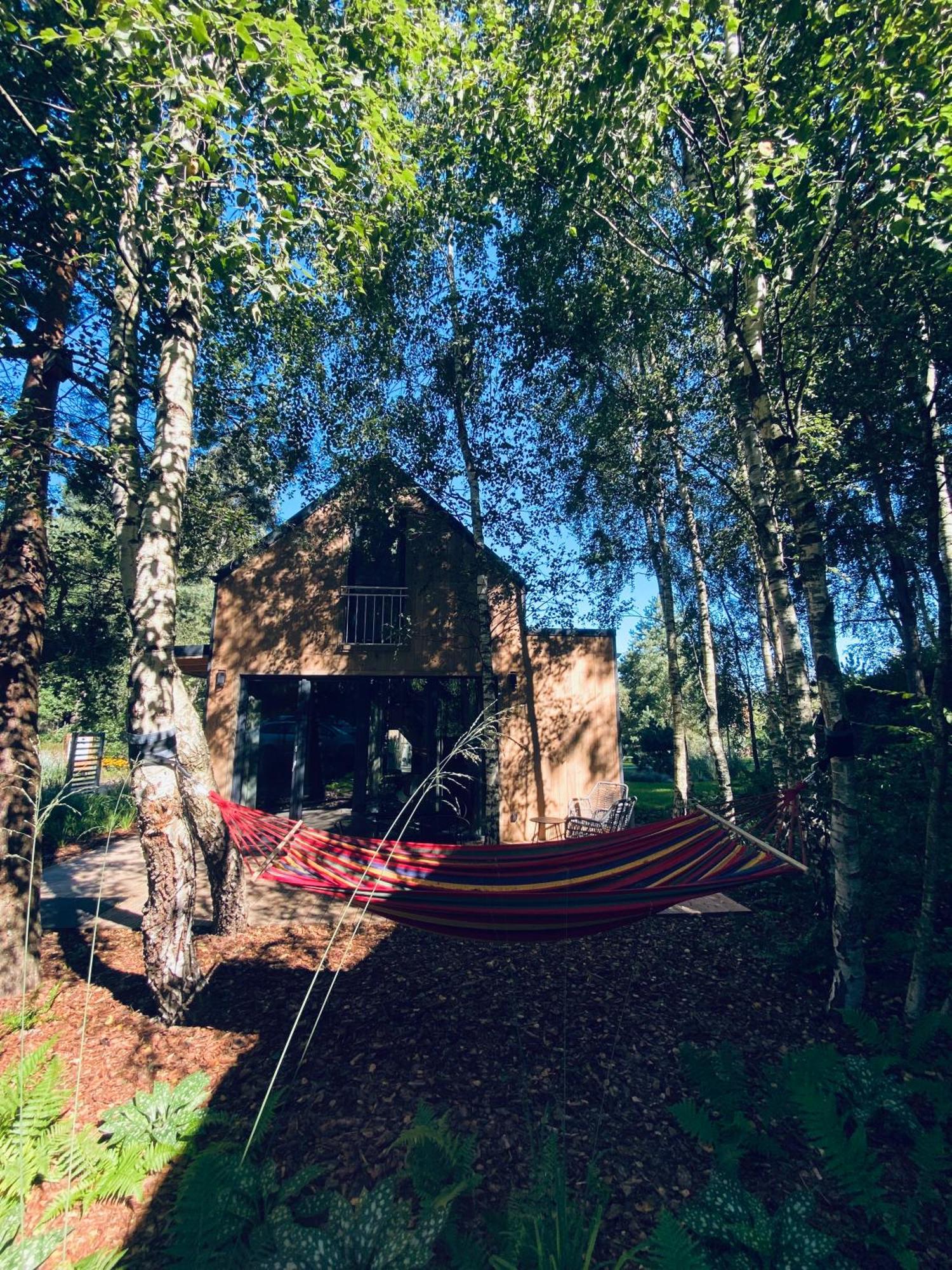 Miedzy Brzozami / Domy W Lesie Ciekocino Buitenkant foto